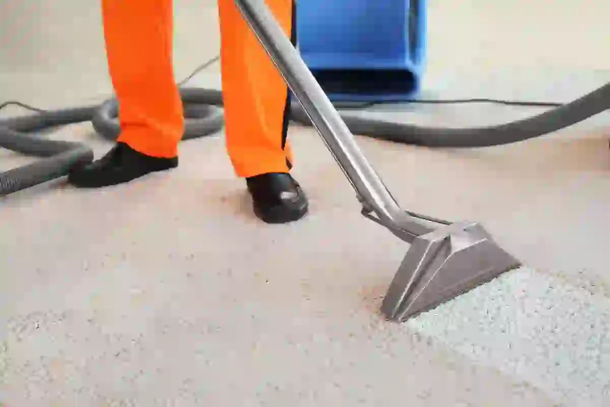 The Top 10 Reasons To Hire A Carpet Cleaner